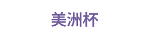 美洲杯 Logo